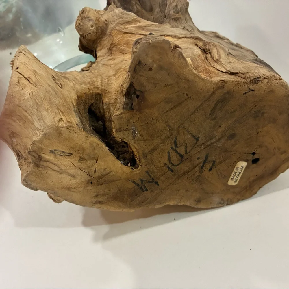 Atrium/Fishbowl Glass Teak Burl Wood Fishbowl/Airplant Display
Molten Glass - Picture 13 of 14